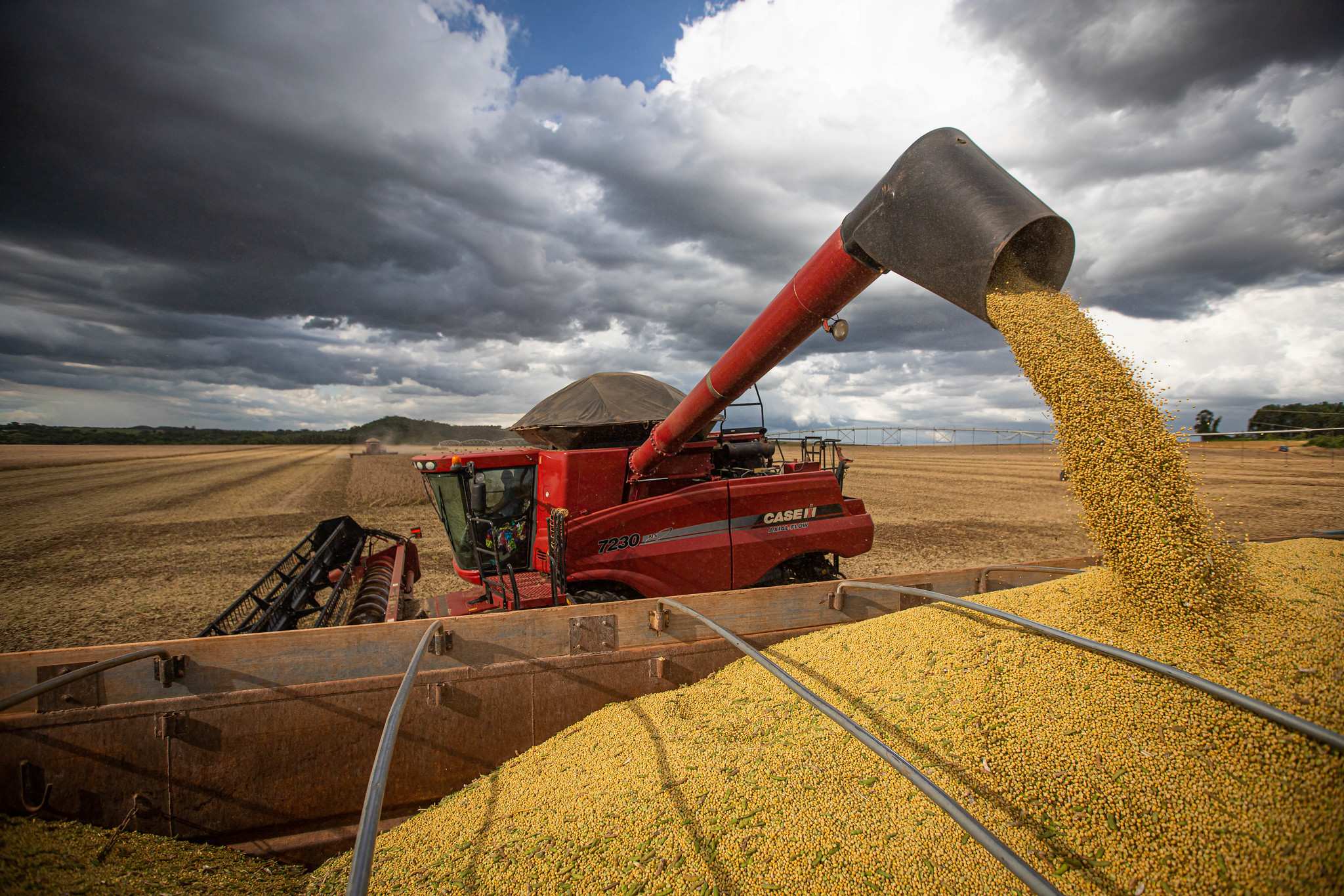 Quase 80% dos mineiros possuem imagem positiva da agropecuária de MG, aponta pesquisa da Quaest
