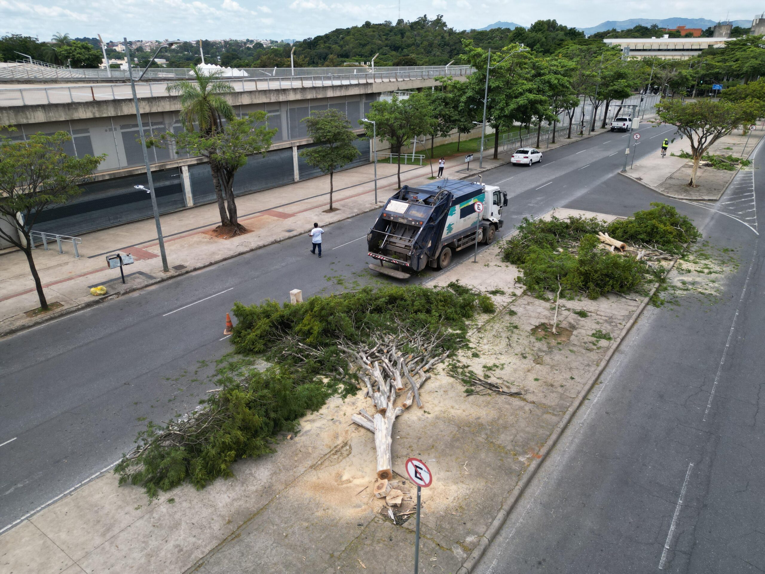 Justiça aceita ação de vereadores do PT e manda PBH paralisar corte de árvores no Mineirão