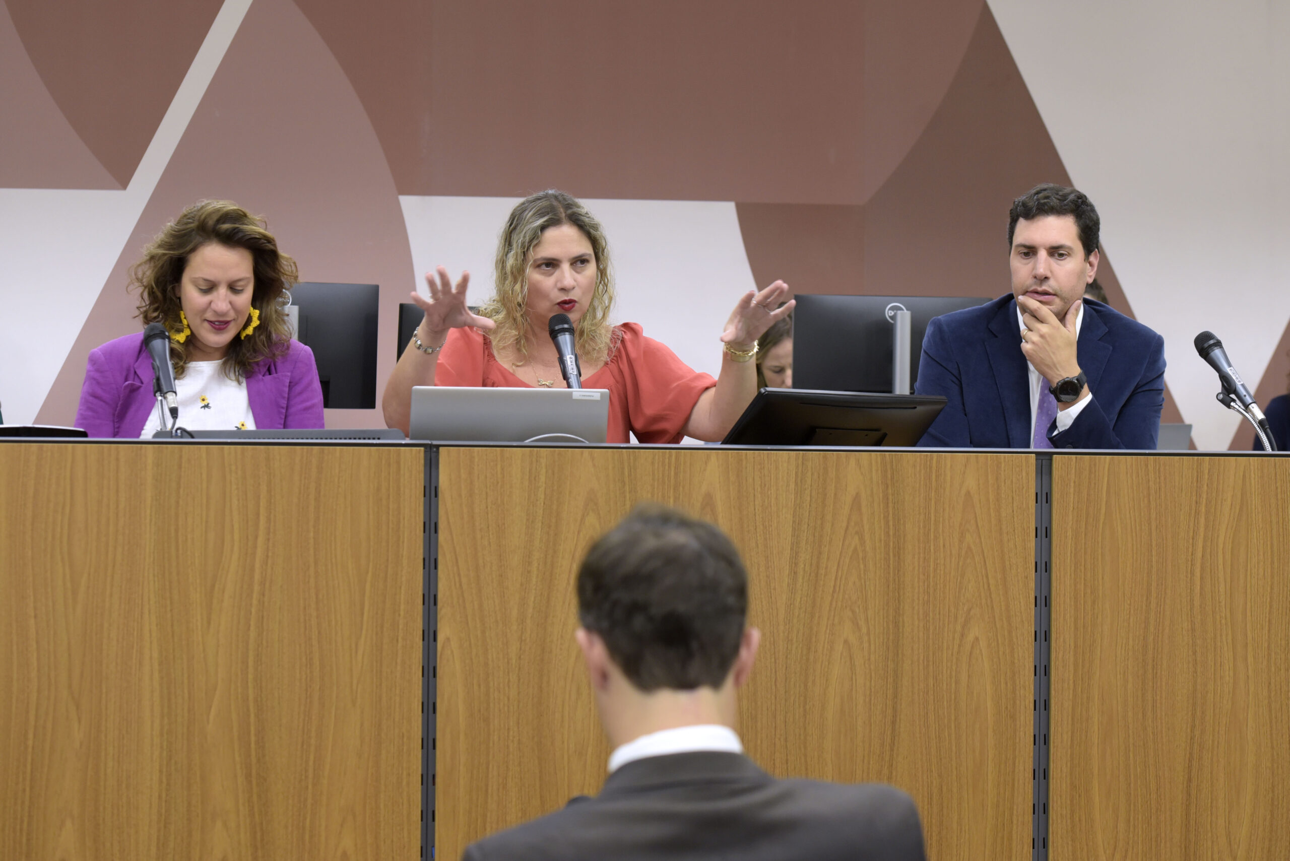 Píncaros da hipocrisia: que vergonha, deputadas Beatriz Cerqueira e Bella Gonçalves