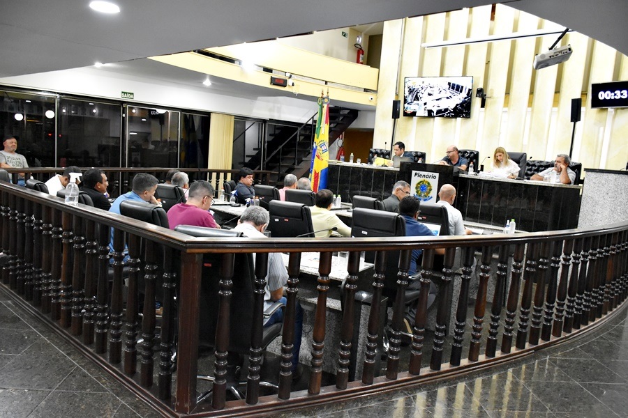 Imagem de uma sessão na Câmara Municipal de Muriaé, na Zona da Mata mineira
