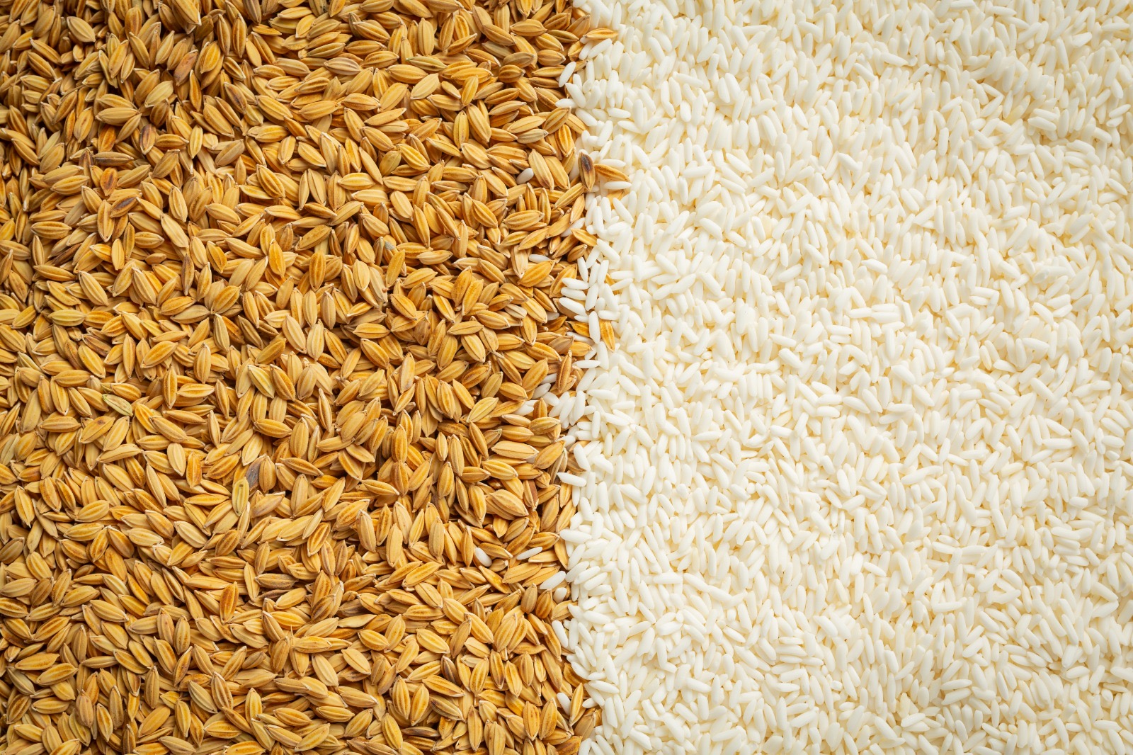 Desnecessária, corrida por arroz gera o que o consumidor queria evitar: aumento no preço do grão
