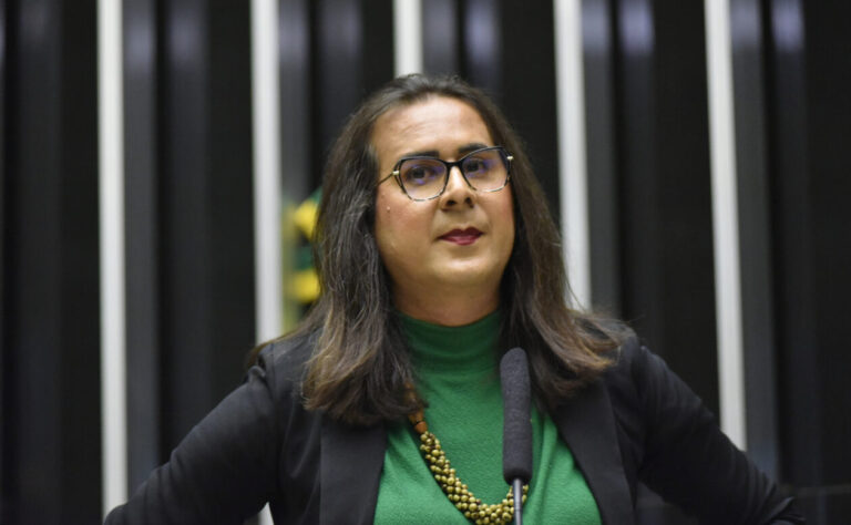 Duda Salabert no Congresso Nacional