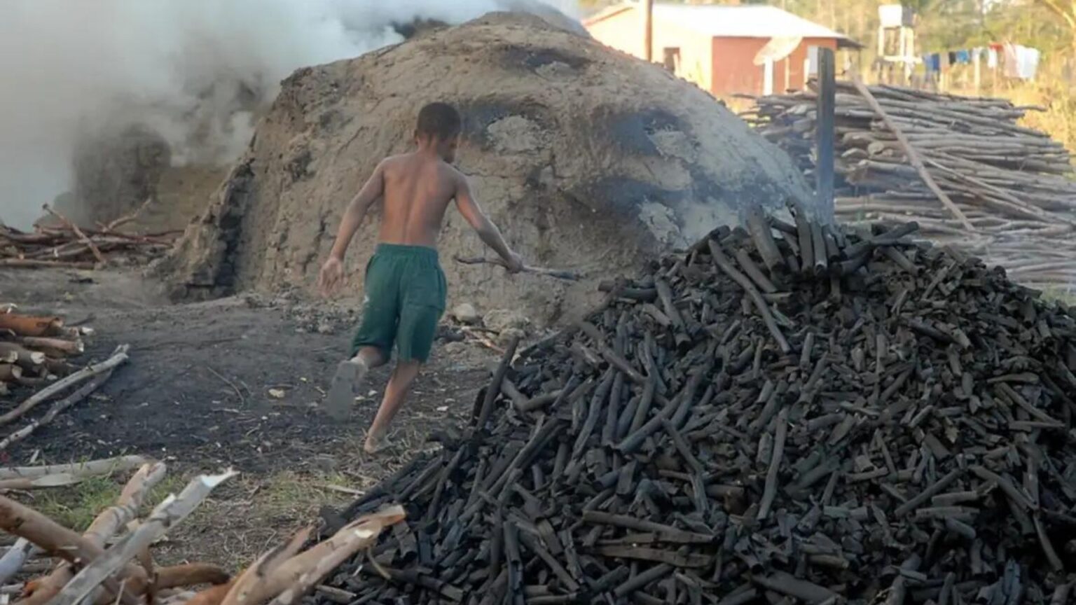 Foto mostra trabalho em carvoaria