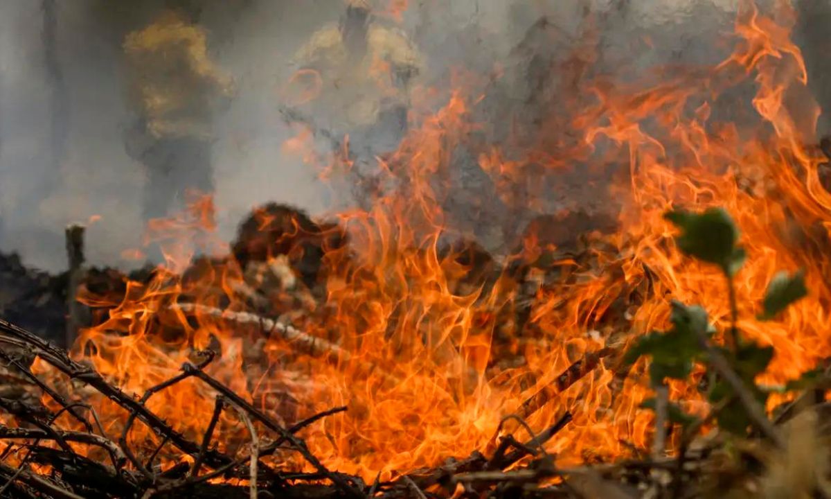 Bombeiros tentam conter fogo