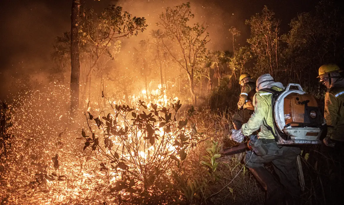 O impacto em Minas Gerais é parte de uma crise nacional mais ampla. Foto: Divulgação/Ibama