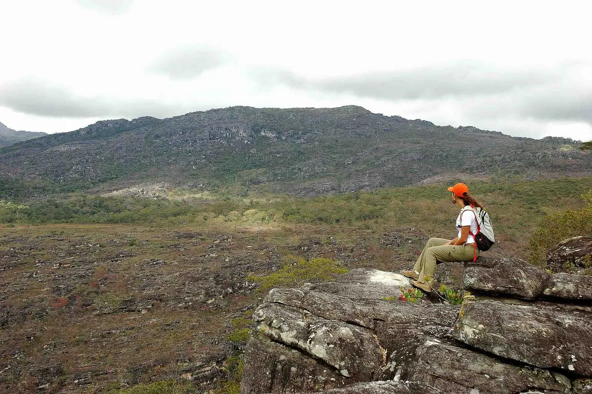 Parque Estadual do Rio Preto; Cerrado