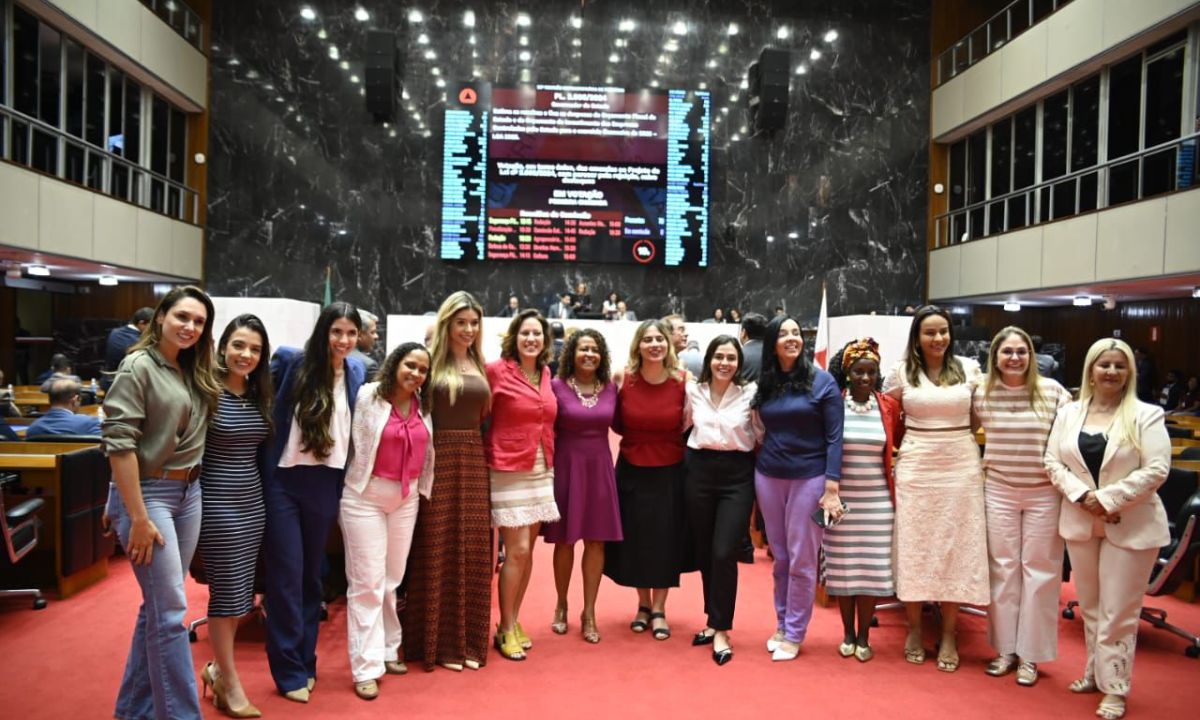 As deputadas da bancada feminina da Assembleia.