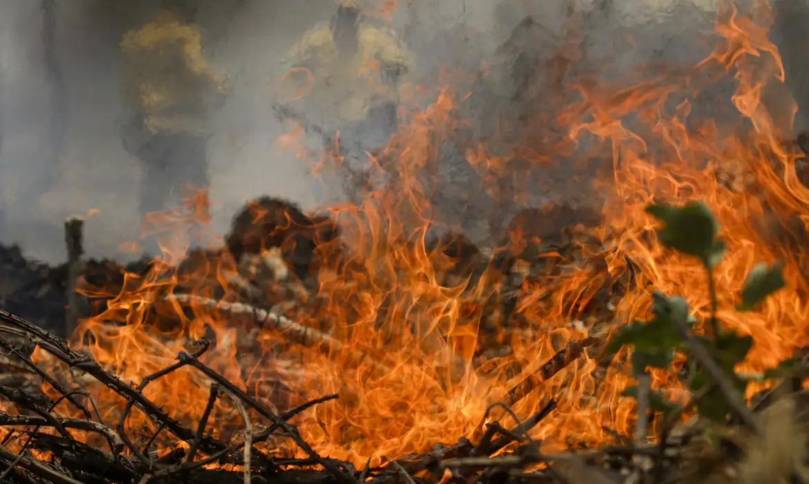 As penas incluem ressarcimento integral do dano ao erário, perda de função pública, suspensão dos direitos políticos por 5 a 8 anos, multa civil e proibição de contratar com o poder público. Foto: Agência Brasil