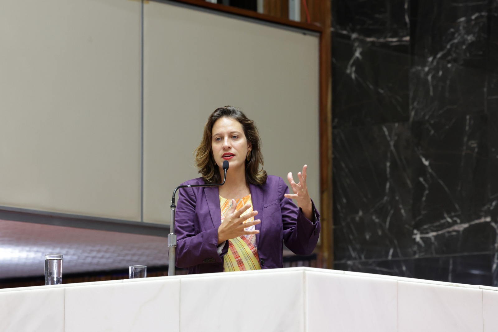 Os planos de Bella Gonçalves para 2026