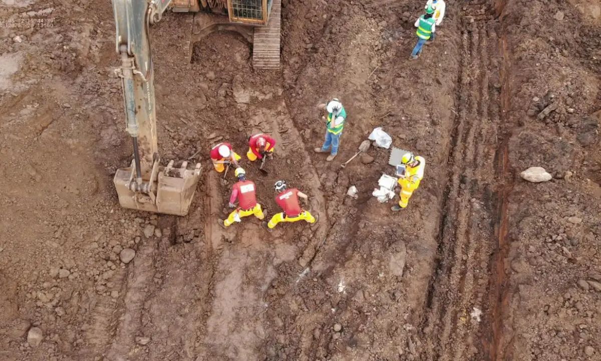 Bombeiros atuam nas buscas em Brumadinho