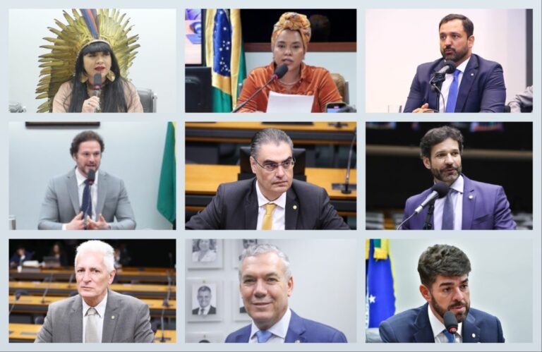 Mineiros presidentes de comissões da Câmara em 2025