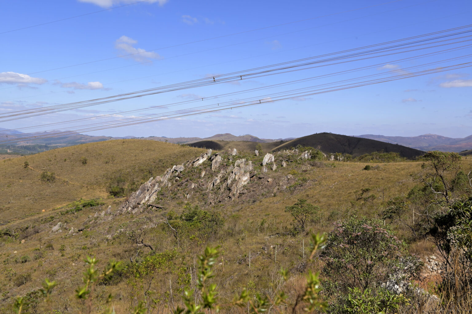 A Estação Ecológica Estadual de Arêdes tem uma área total aproximada de 1.187,23 hectares, em região rica em minério de ferro. Foto: Sarah Torres/ALMG