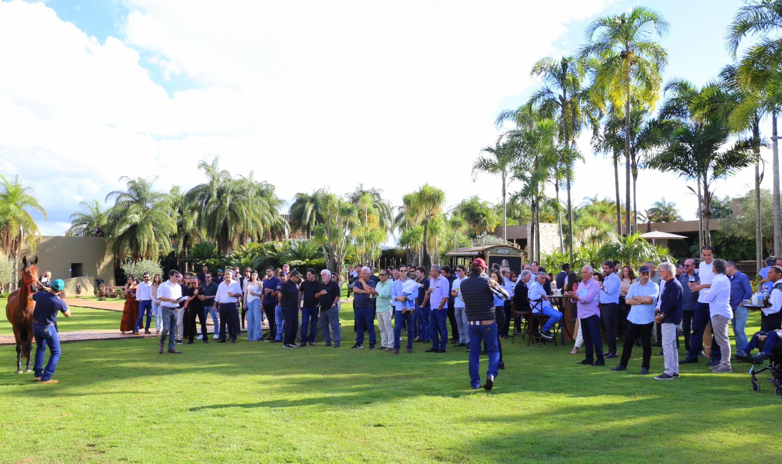 Solidariedade marca leilão beneficente Mangalarga Marchador Agéo em prol de instituições