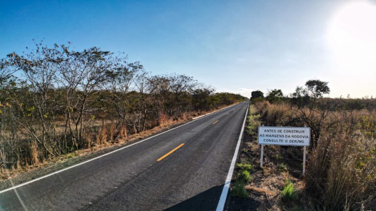 A ação cita diversos casos concretos de acidentes envolvendo animais nas rodovias. Foto: Agência Minas