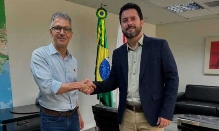 Luís Eduardo Falcão e Romeu Zema