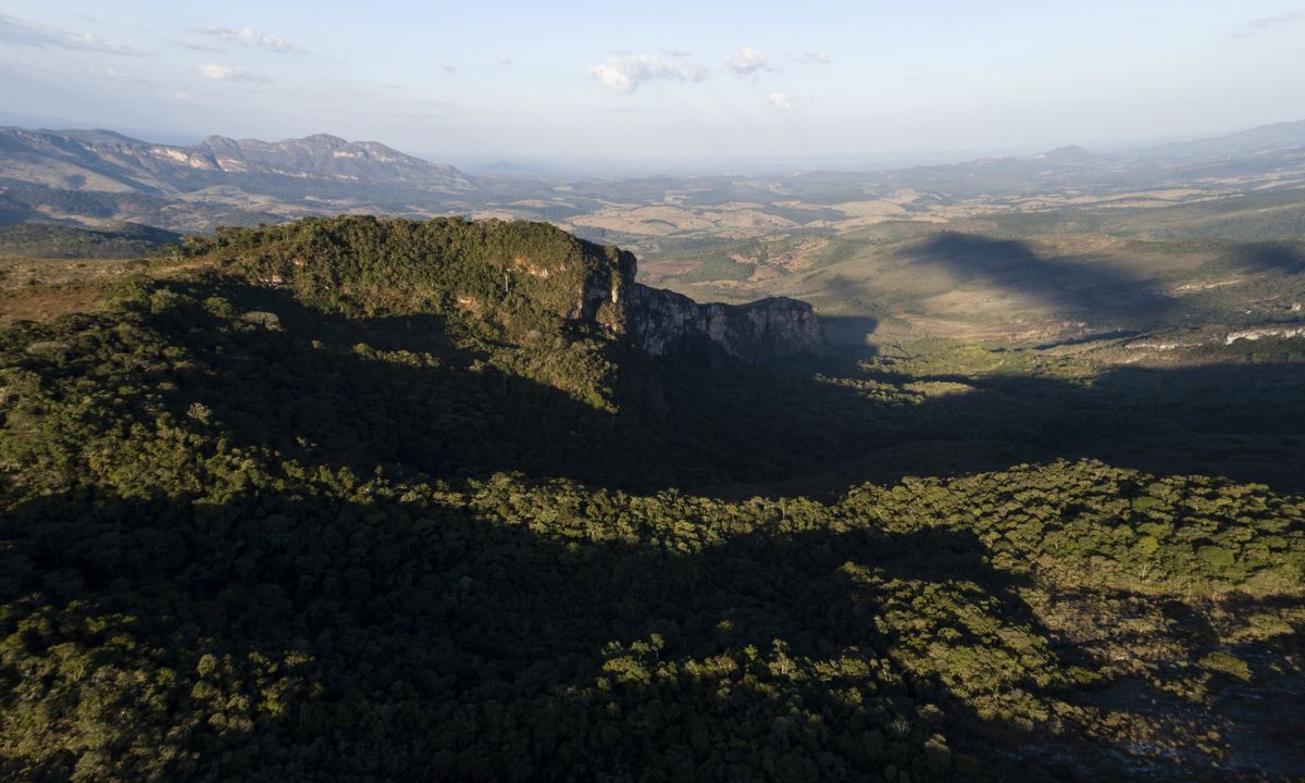 Área de preservação no corredor Minas-Rio
