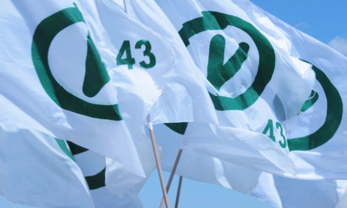 Bandeiras do Partido Verde