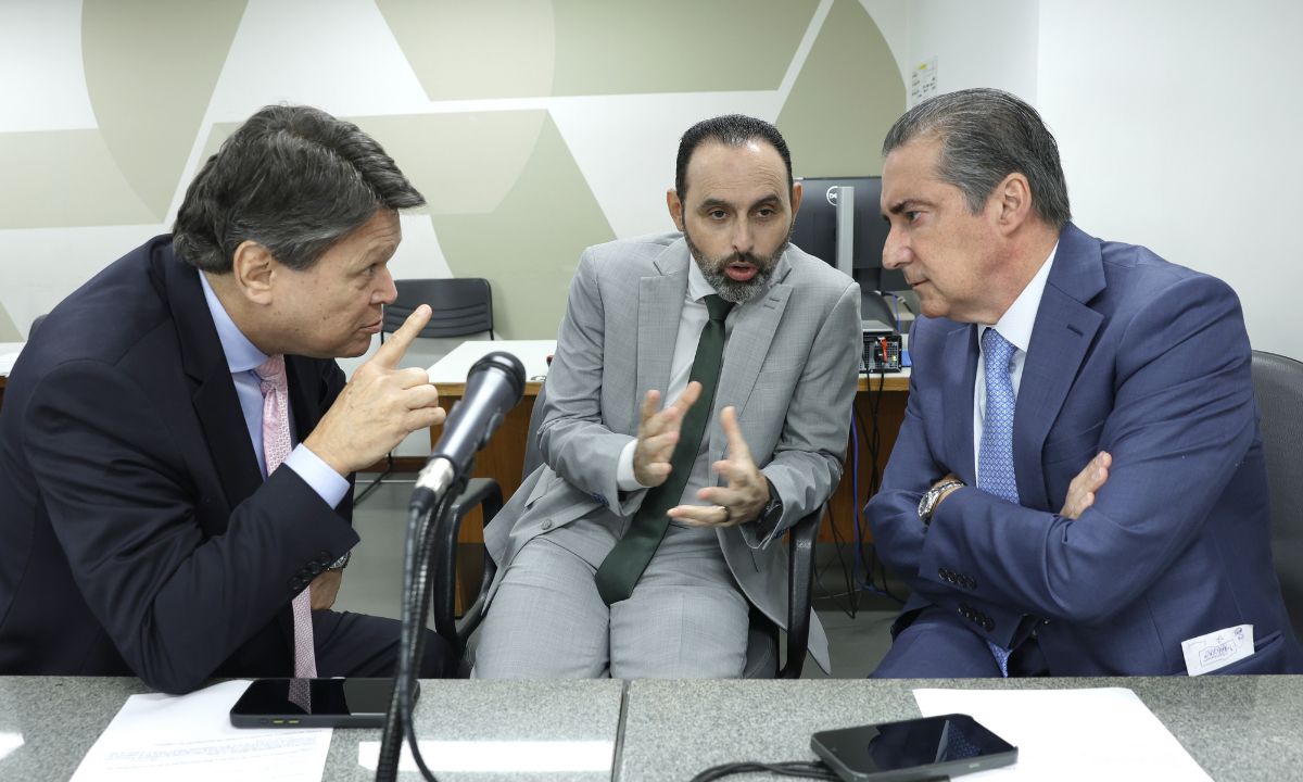 Foto mostra comissão da ALMG