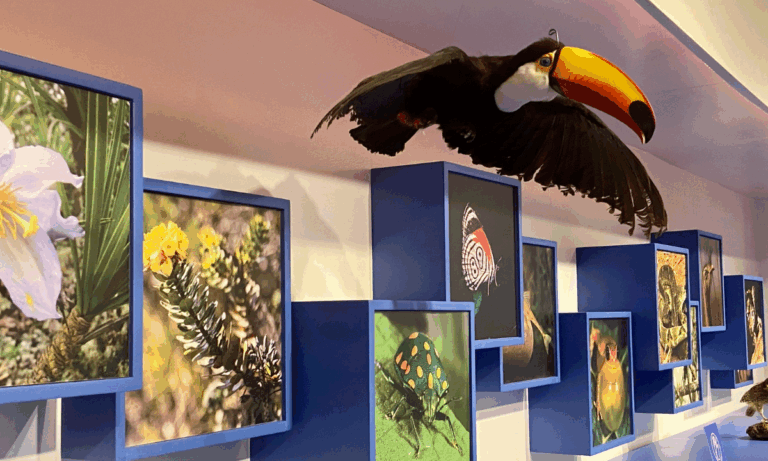 A Estação Ciência da Anglo American