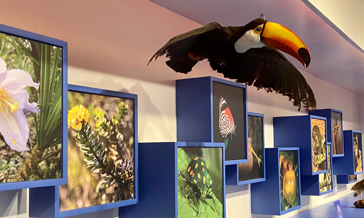 A Estação Ciência da Anglo American