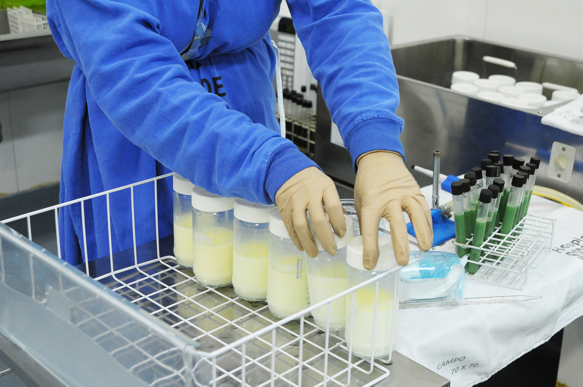 Banco de leite humano