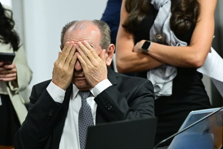 Marcelo Castro na CCJ do Senado