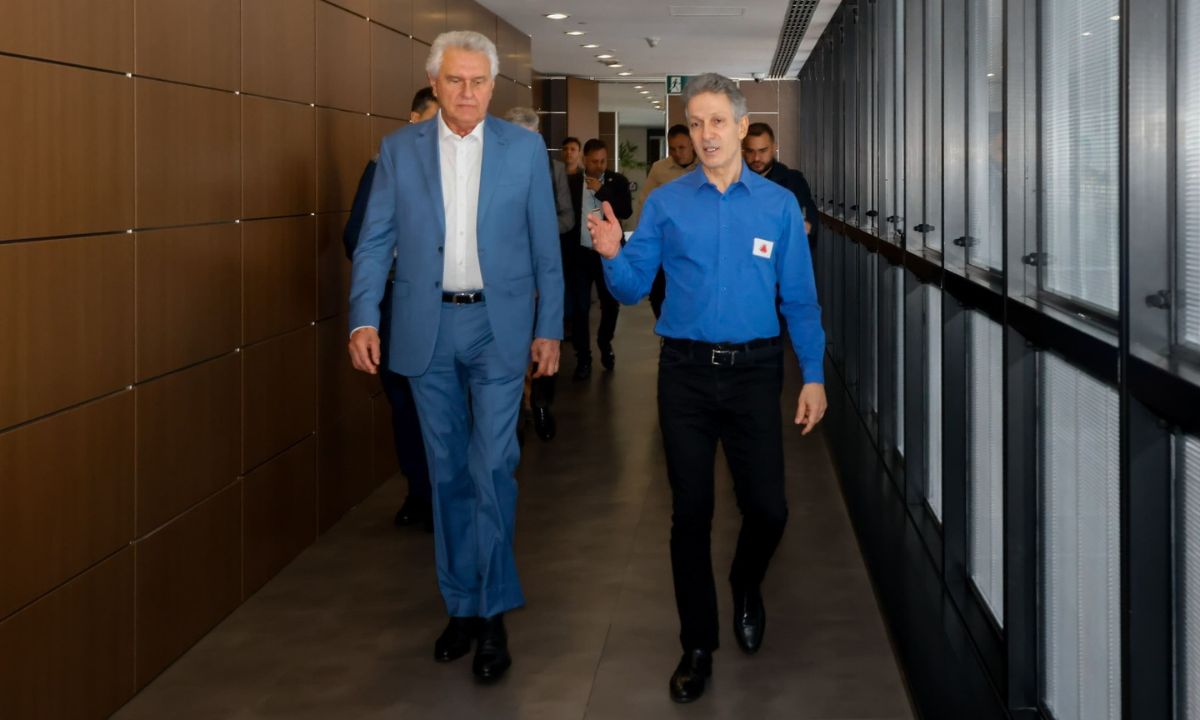 Romeu Zema e Ronaldo Caiado