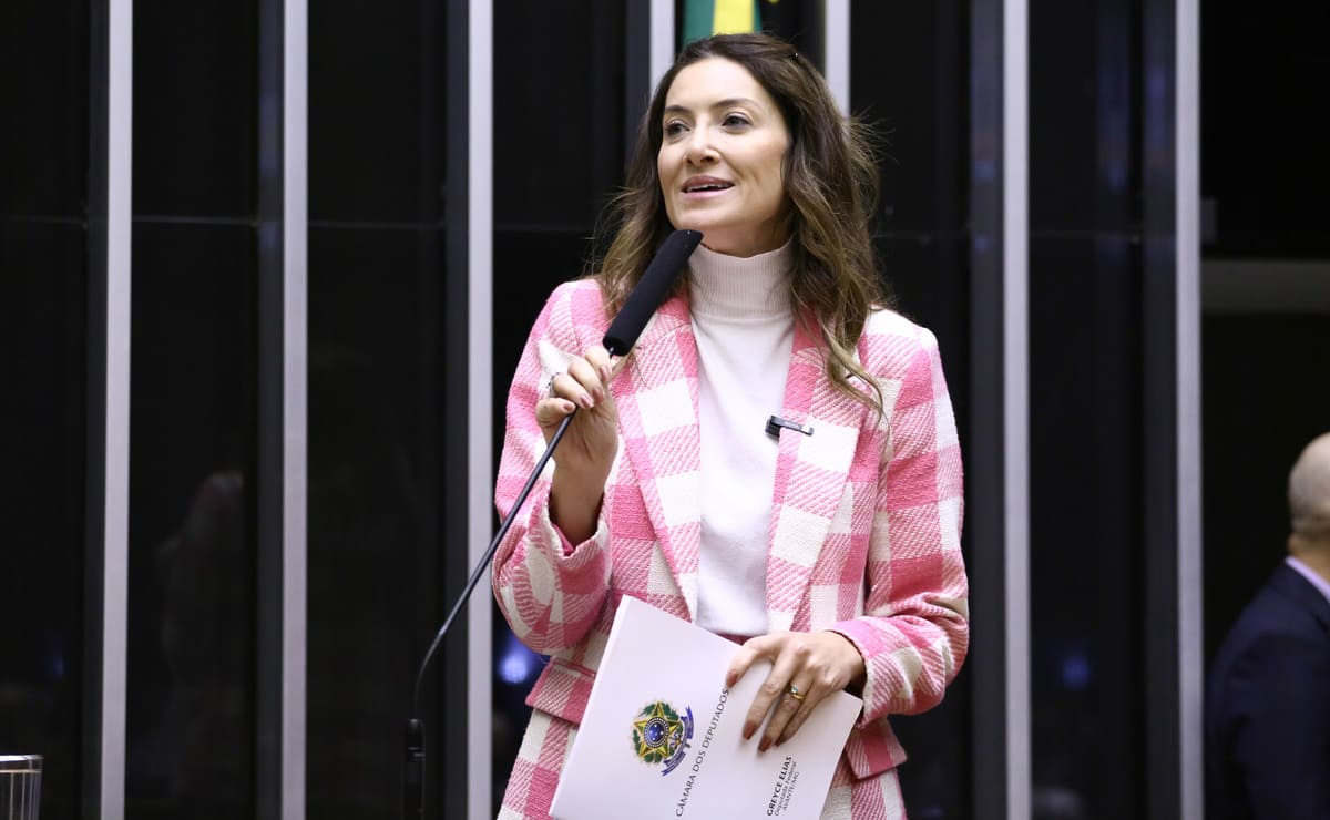 Greyce Elias no plenário da Câmara