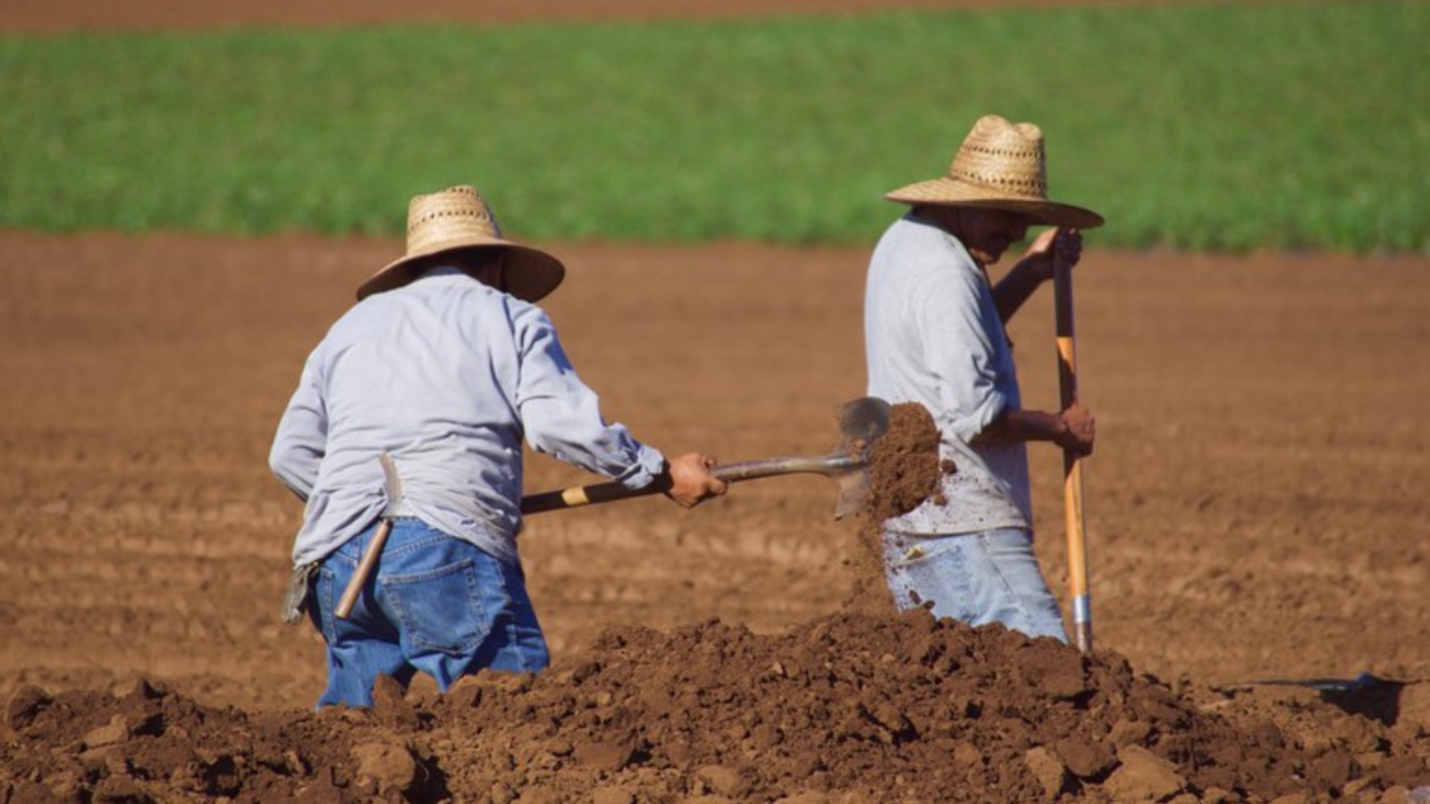 TCU impede governo federal de comprar fazenda que dobrou de preço no interior de MG
