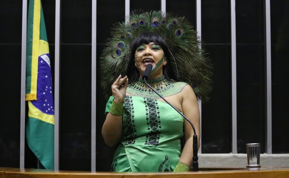 Célia Xakriabá (PSOL - MG)