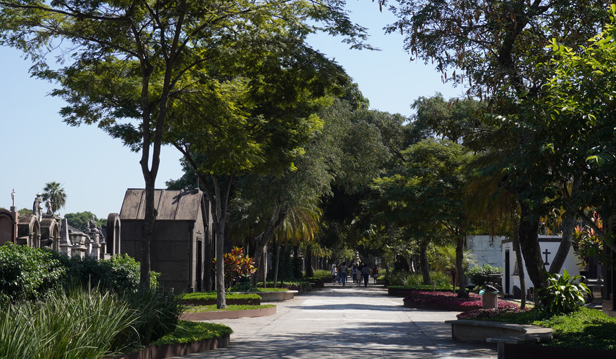cemiterio sao francisco xavier concessao