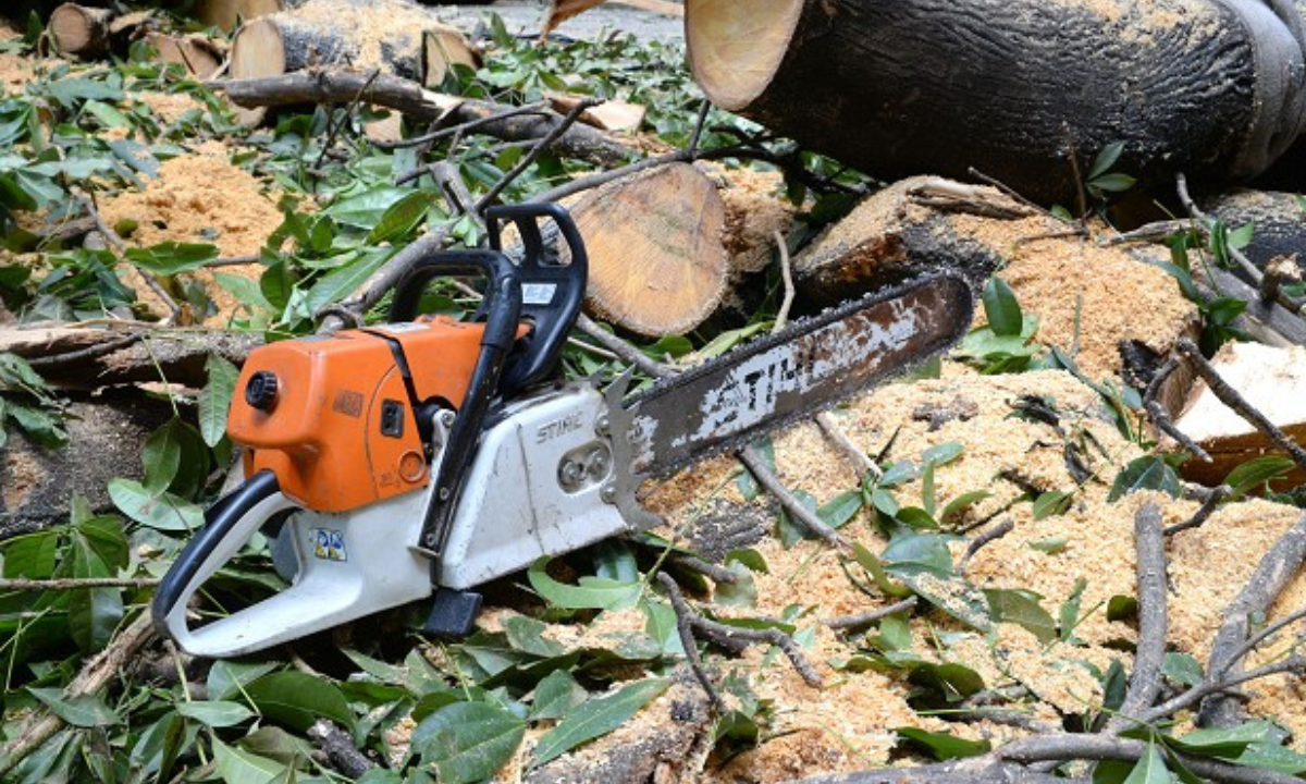 Motosserra ao centro, em área de vegetação desmatada.