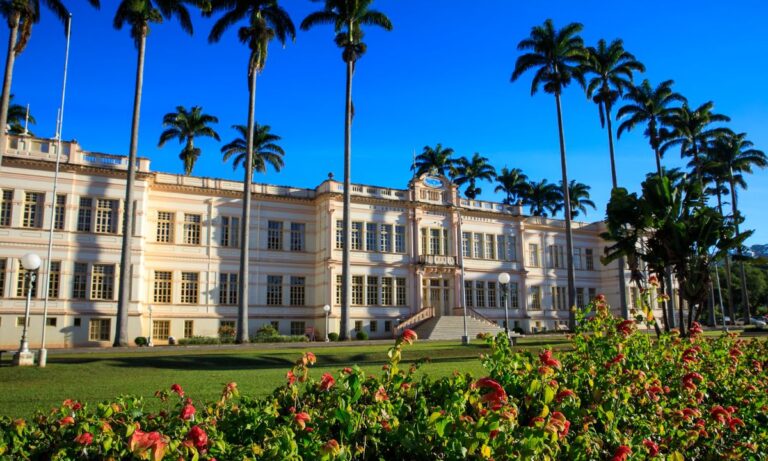 Universidade Federal de Viçosa (UFV)