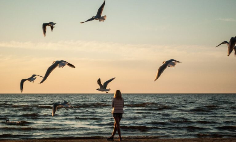 Foto mostra pássaros e mulher.
