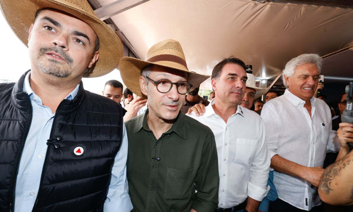 Mateus Simões, Romeu Zema, Flávio Bolsonaro e Ronaldo Caiado.