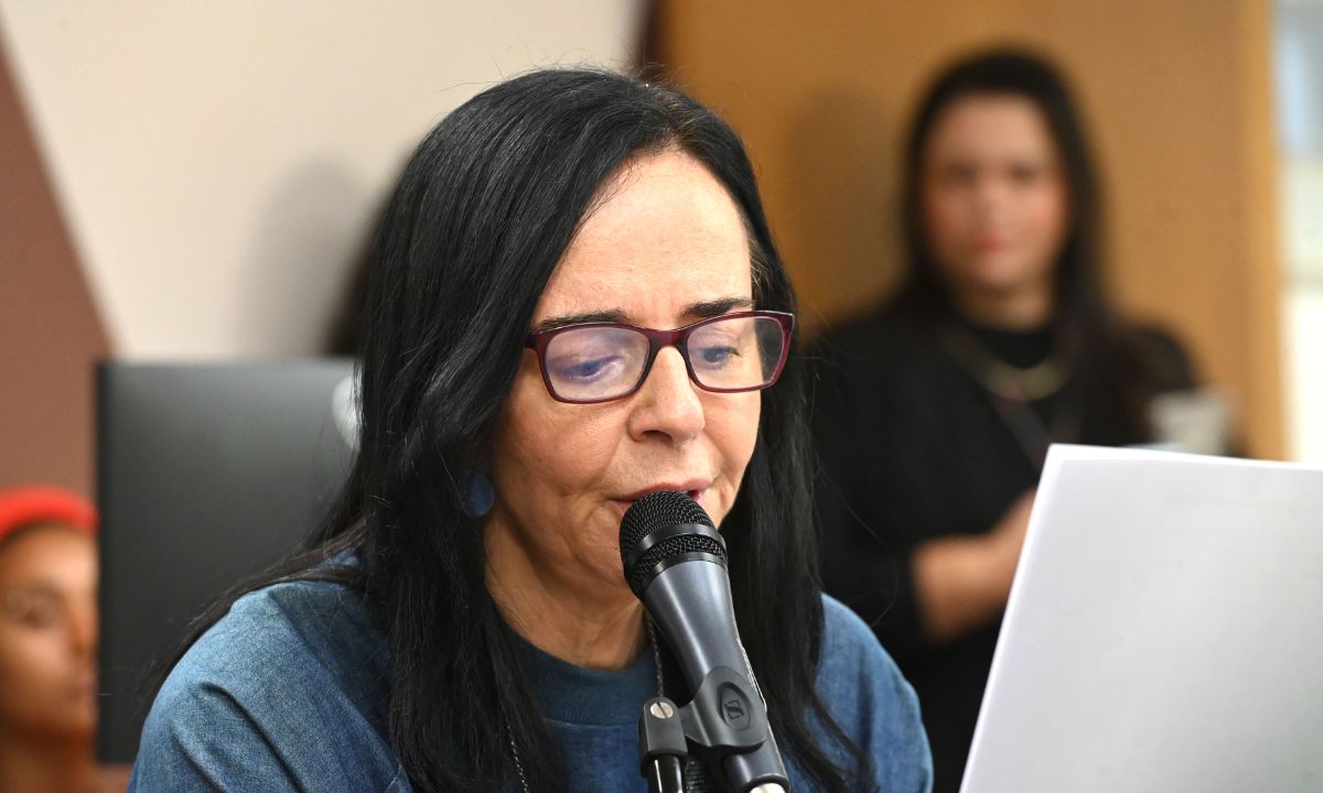 A deputada Ione Pinheiro