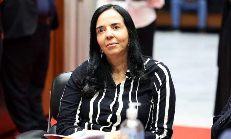 A deputada estadual Ione Pinheiro