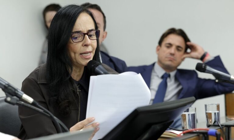 A deputada Ione Pinheiro