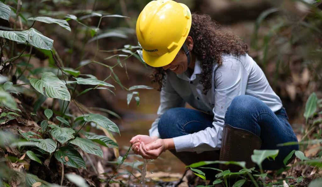 recuperacao florestal samarco